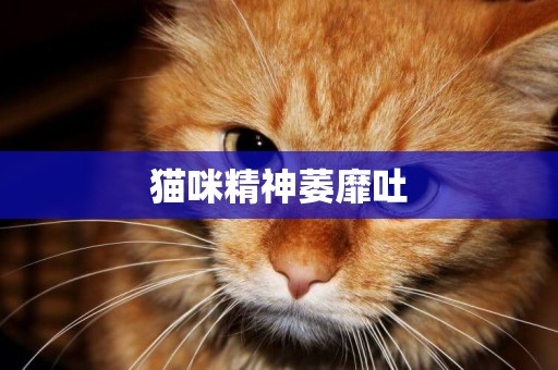 猫咪精神萎靡吐